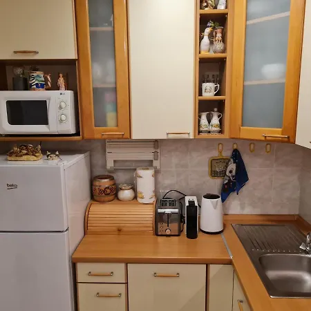 Veselka Apartment